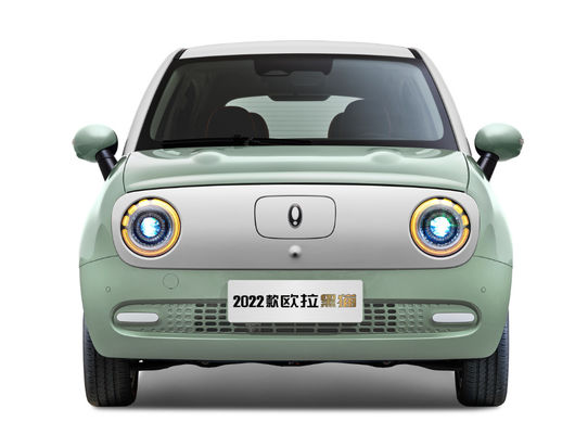 301-405KM 만리 장성 모터 EV 만리 장성 OS 검은 고양이 Ev 배터리 LFP