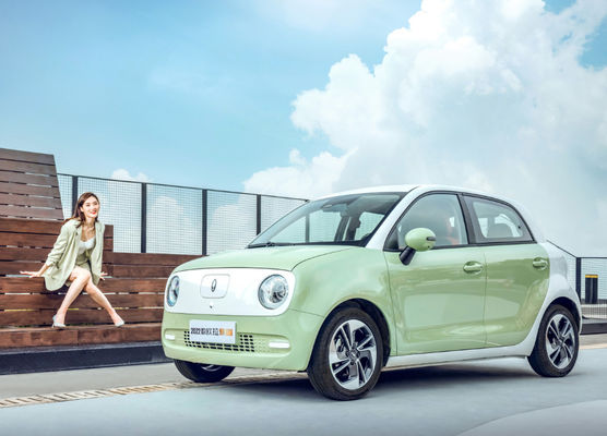 301-405KM 만리 장성 모터 EV 만리 장성 OS 검은 고양이 Ev 배터리 LFP