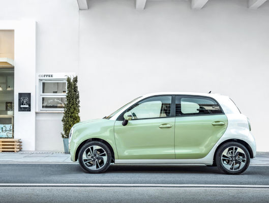 301-405KM 만리 장성 모터 EV 만리 장성 OS 검은 고양이 Ev 배터리 LFP