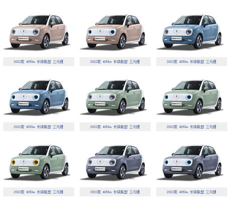 301-405KM 만리 장성 모터 EV 만리 장성 OS 검은 고양이 Ev 배터리 LFP
