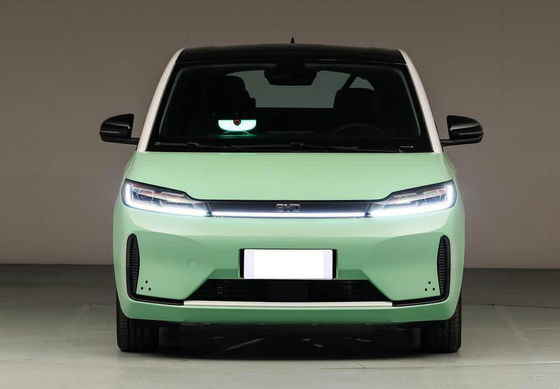 5 문 5 시트 MPV 전기 자동차 바이드 D1 Ev 418KM 2022 공용 표준