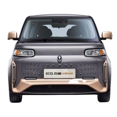 5 문 4와 오라 하얀 고양이 만리 장성 모터 EV 305-401KM 순수한 전기는 딱 막습니다