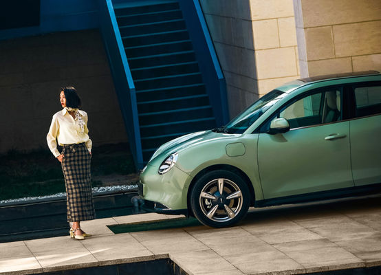 5 문 5 자리 만리 장성 모터 EV OS 좋은 고양이 Ev 401-501KM